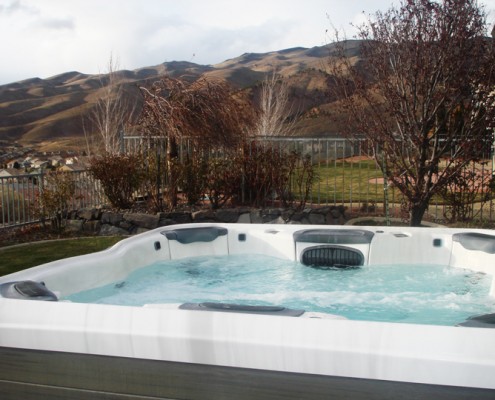 Bullfrog Spa with Mountain View